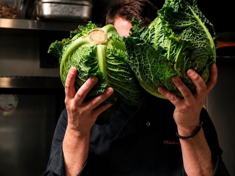 The Maison Chapron chef in his kitchen, holding two fresh green cabbages
